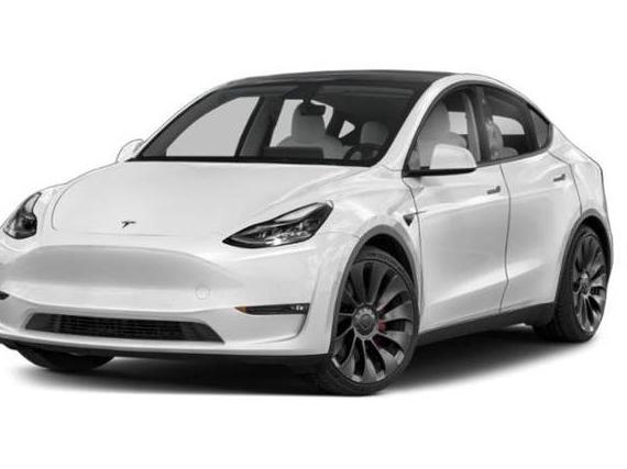 TESLA MODEL Y 2023 7SAYGDEE8PF935484 image